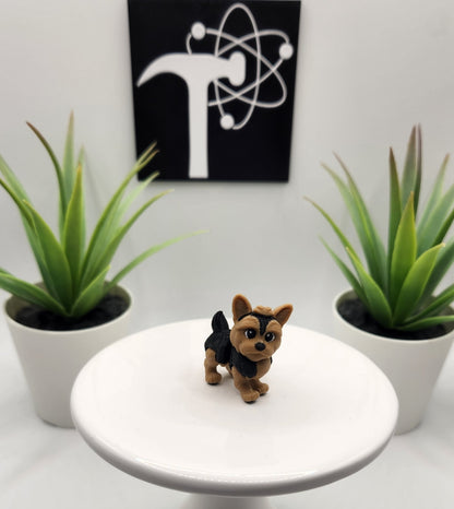 Yorkshire Terrier, Yorkie, Dog Fidget Animal