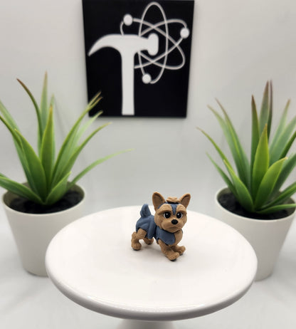 Yorkshire Terrier, Yorkie, Dog Fidget Animal