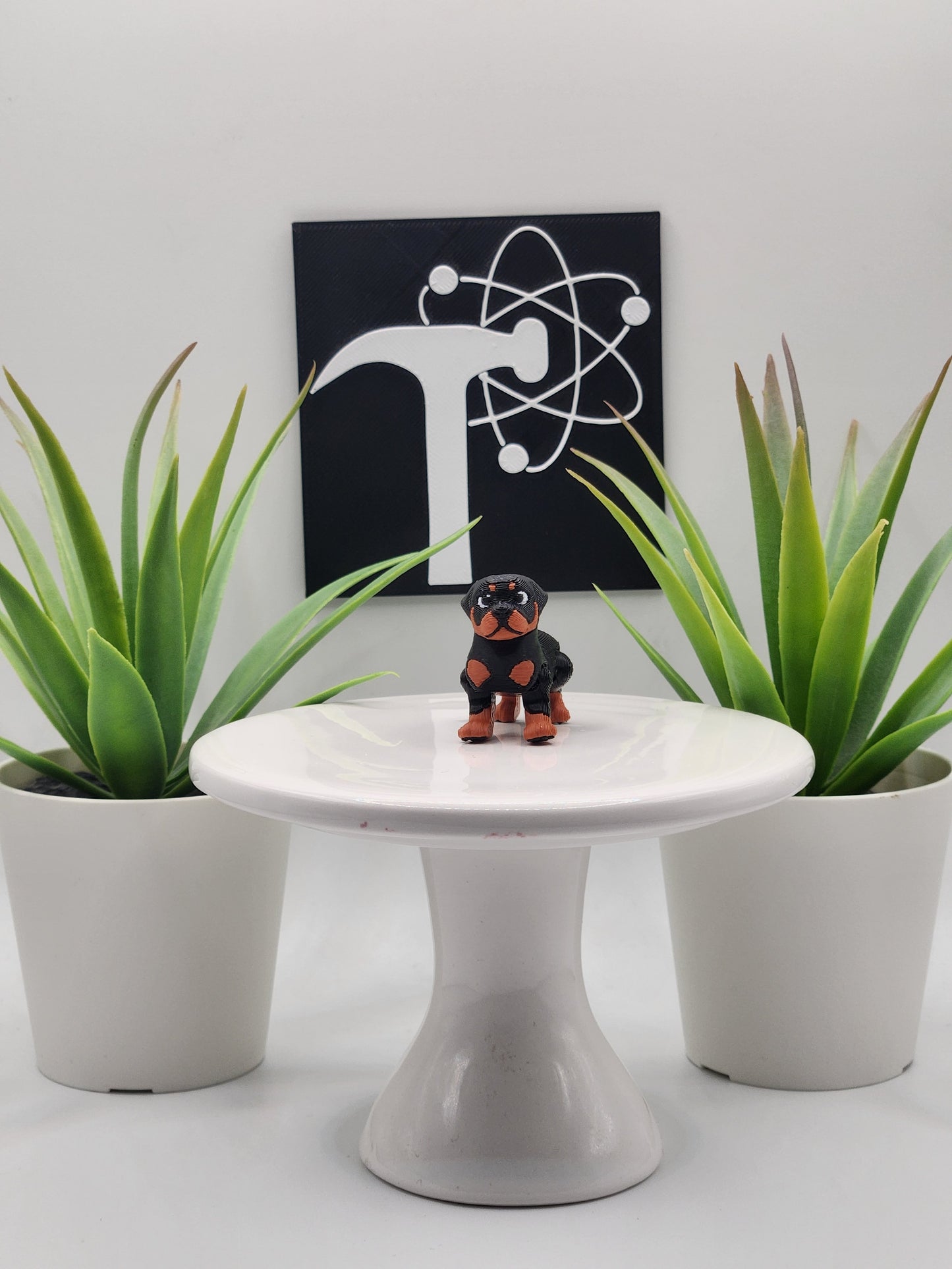 Rottweiler Dog Fidget Animal
