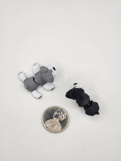 Schnauzer Dog Fidget Animal