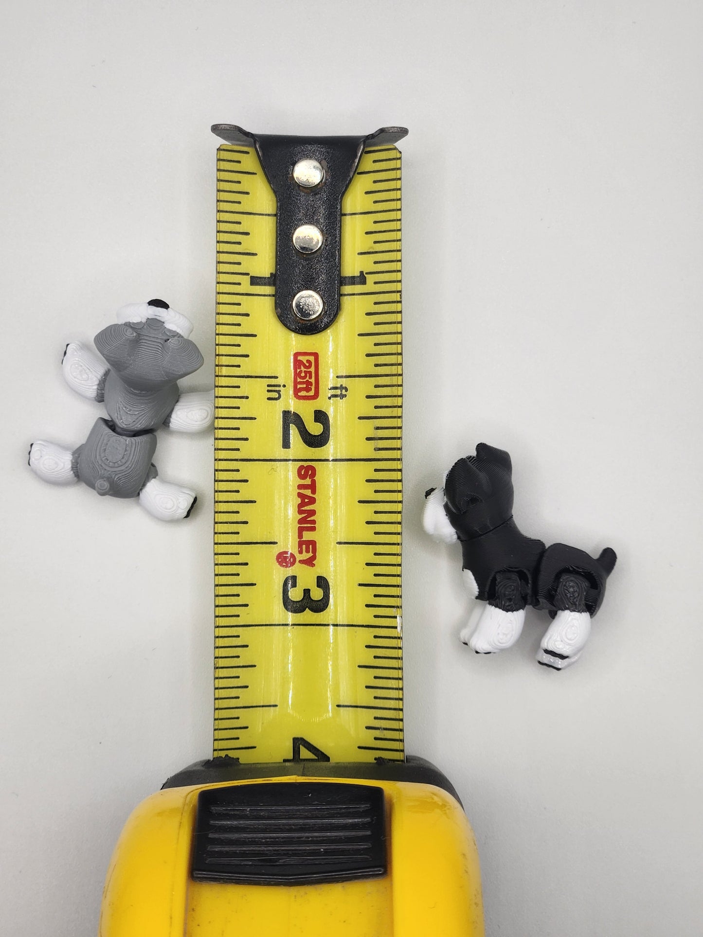Schnauzer Dog Fidget Animal