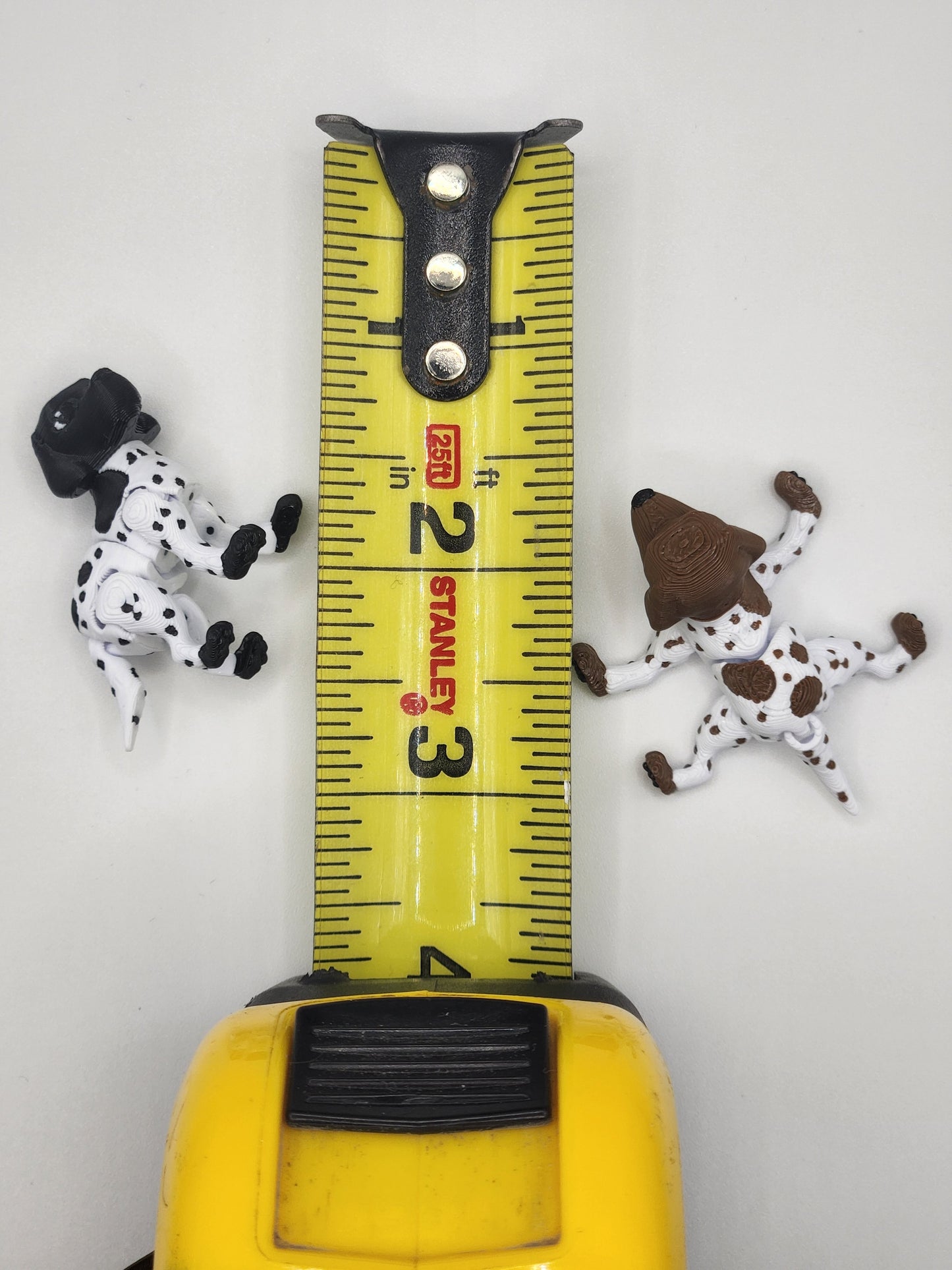 Shorthaired Pointer Dog Fidget Animal