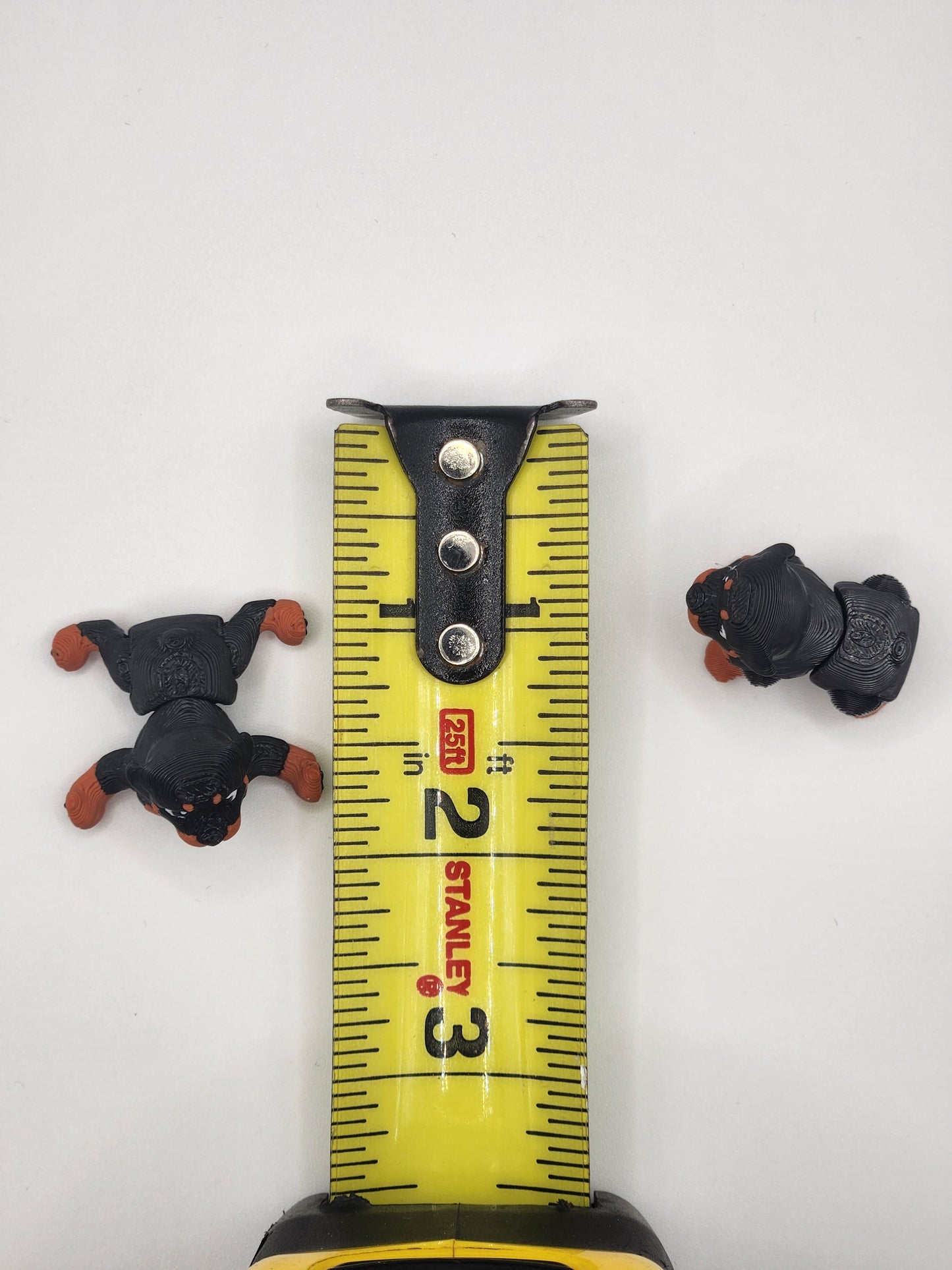 Rottweiler Dog Fidget Animal