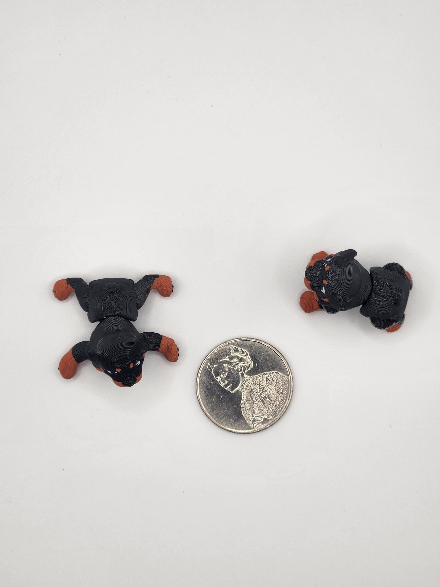 Rottweiler Dog Fidget Animal