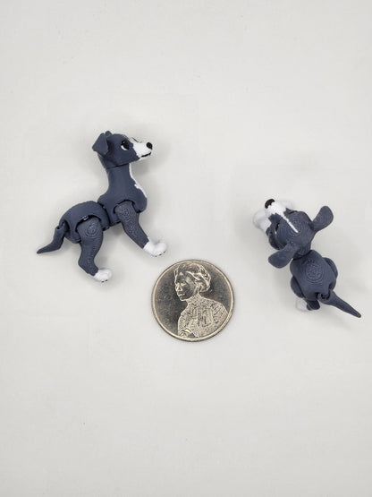 Italian Greyhound Dog Fidget Animal