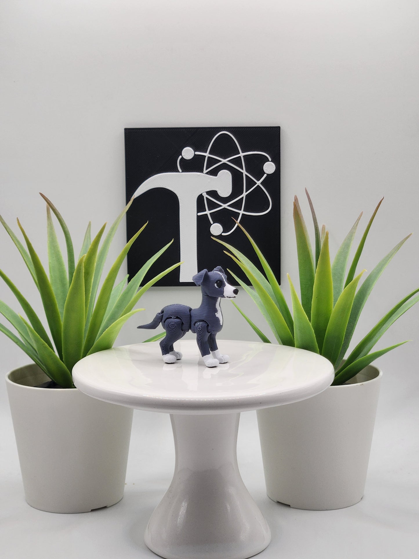 Italian Greyhound Dog Fidget Animal