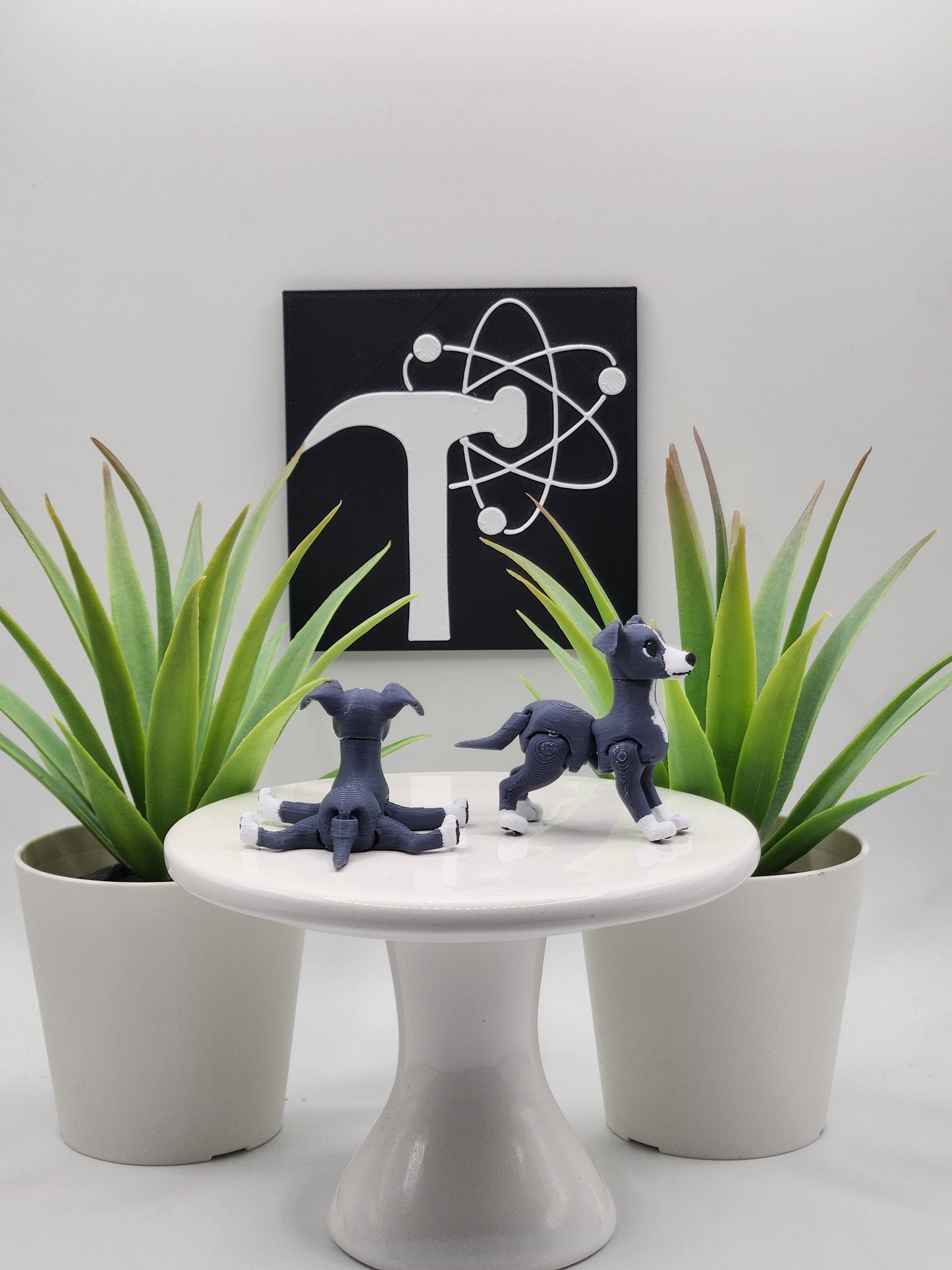 Italian Greyhound Dog Fidget Animal