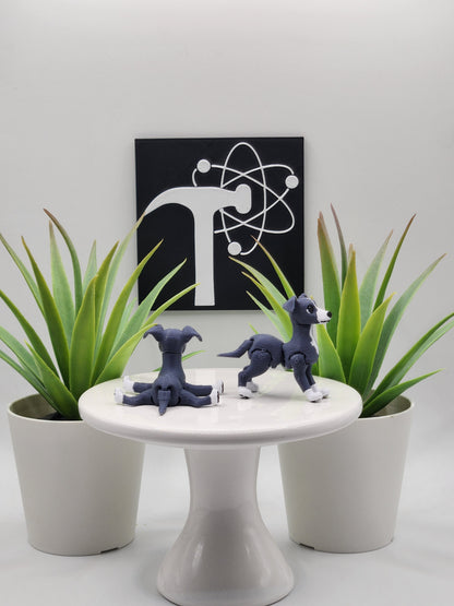 Italian Greyhound Dog Fidget Animal