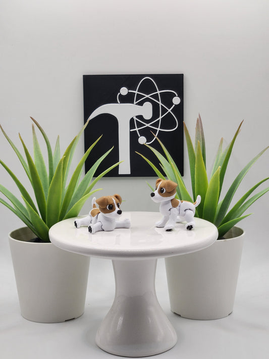 Jack Russell Terrier Dog Fidget Animal