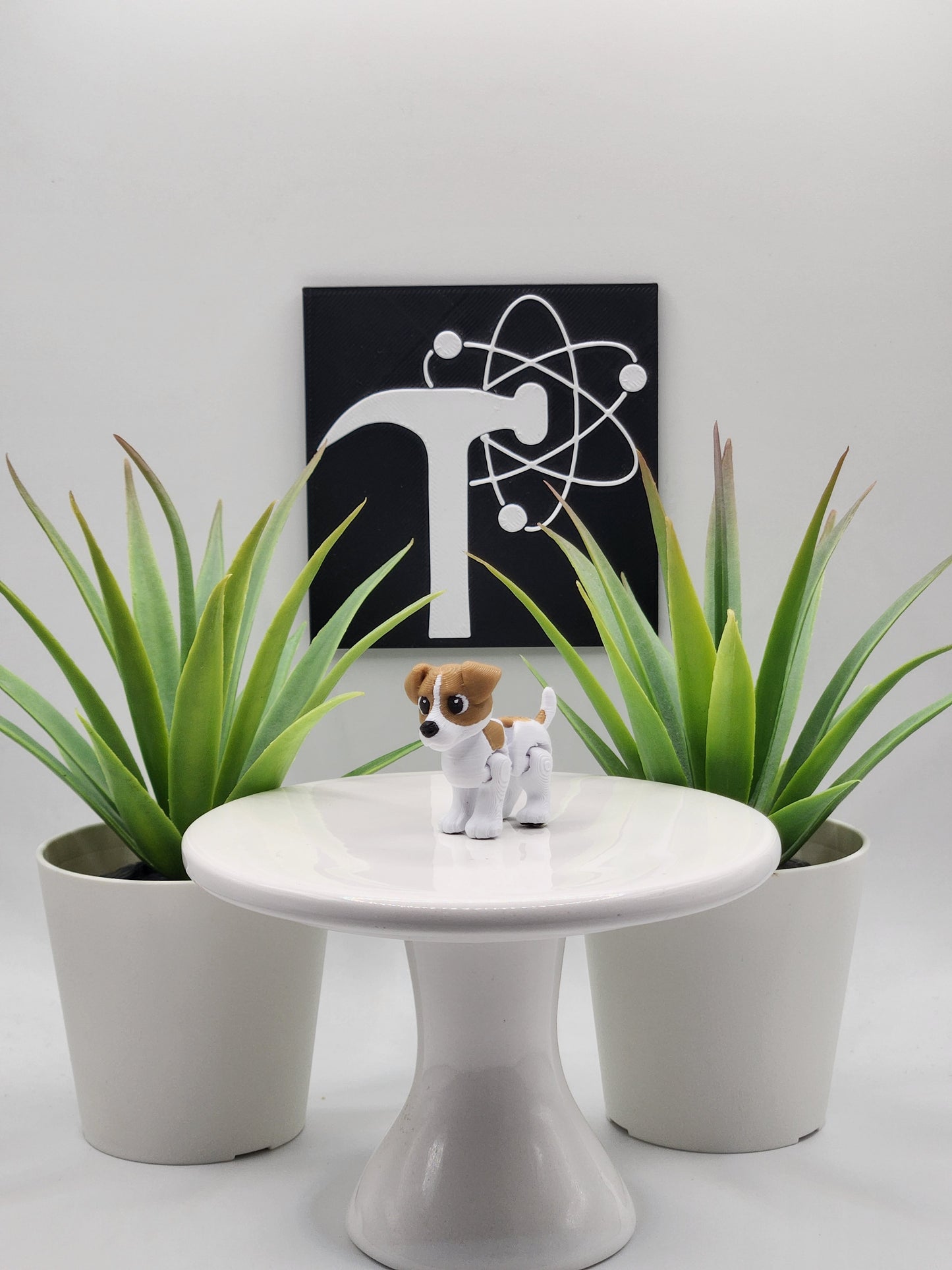 Jack Russell Terrier Dog Fidget Animal