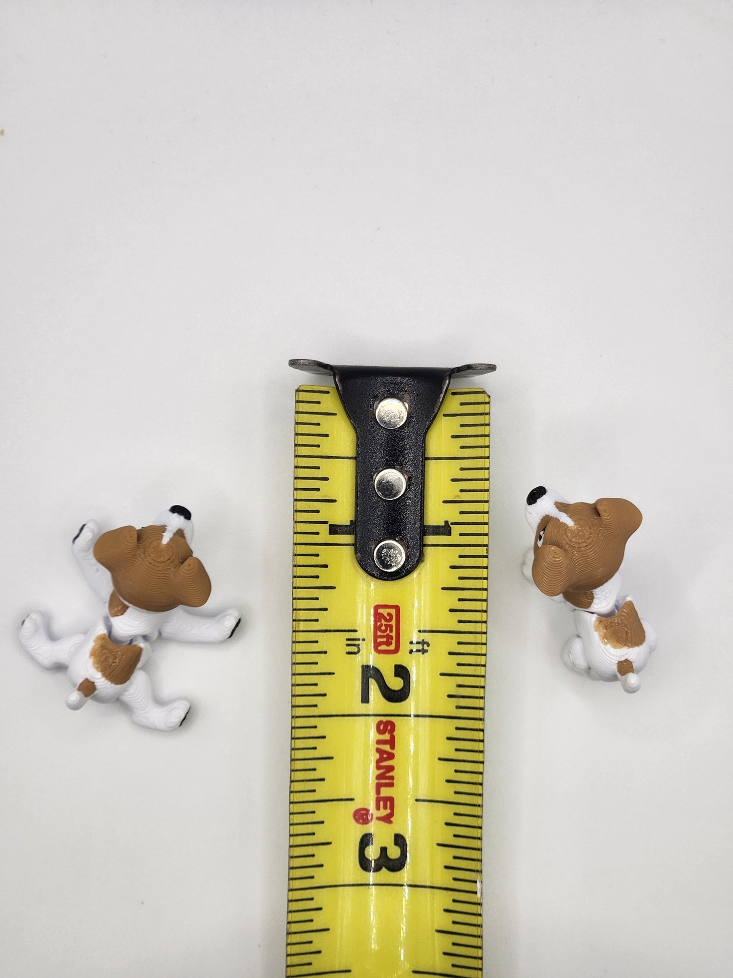 Jack Russell Terrier Dog Fidget Animal