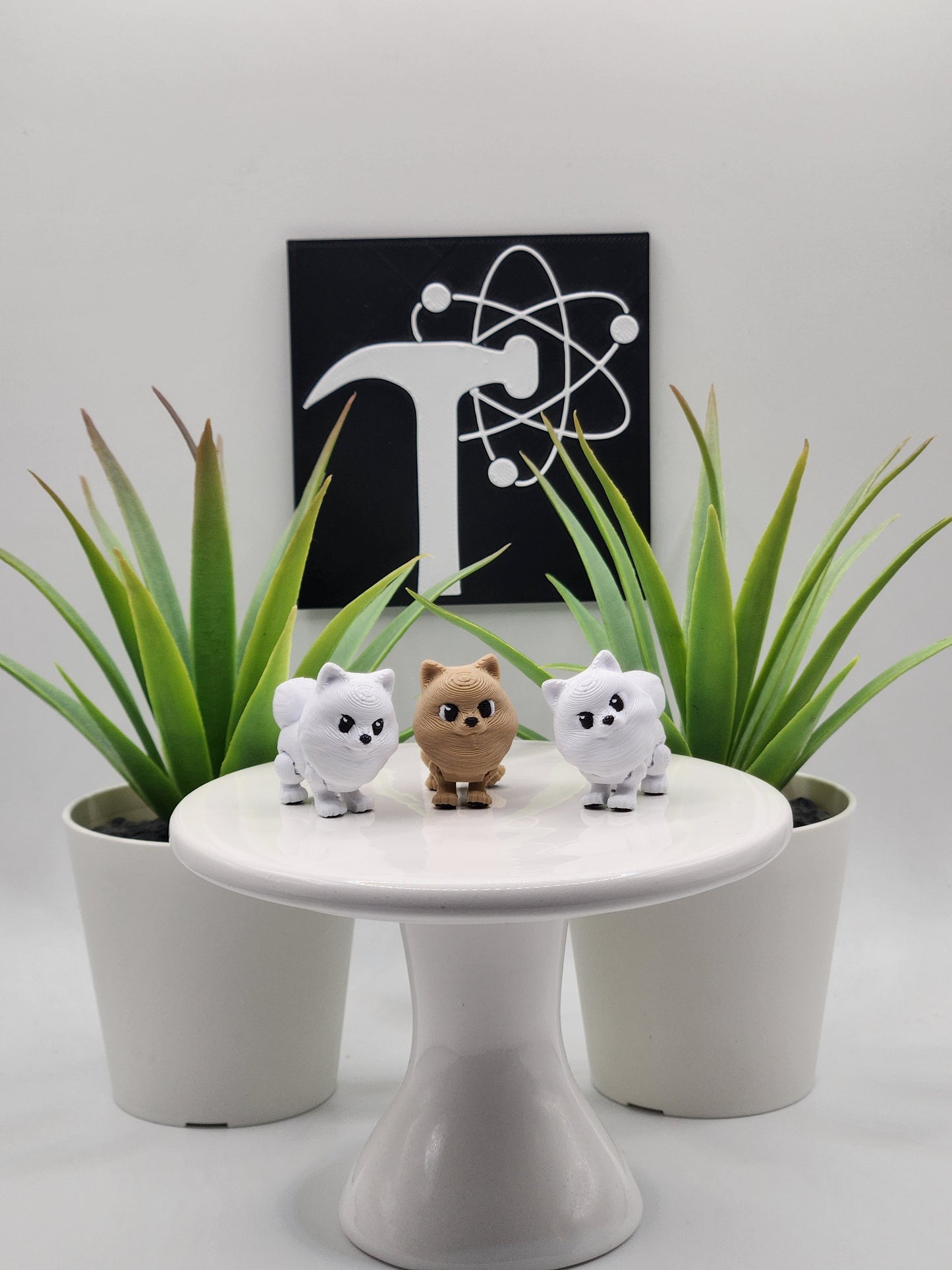 Pomeranian Dog Fidget Animal
