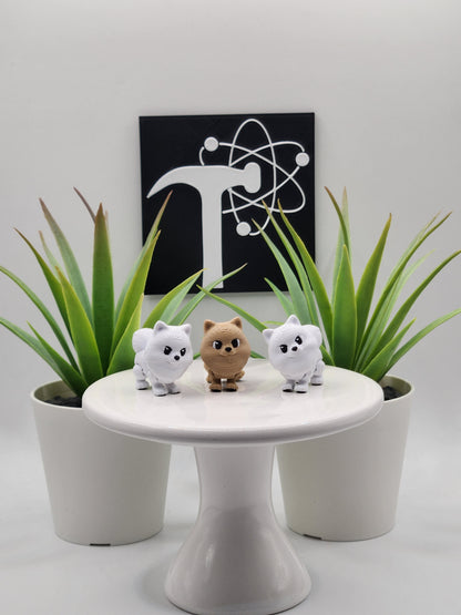 Pomeranian Dog Fidget Animal