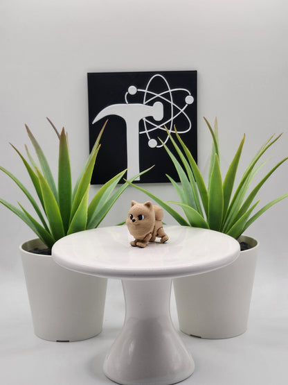 Pomeranian Dog Fidget Animal