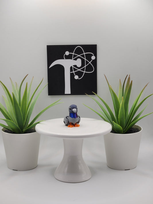 Pigeon Bird Fidget Animal