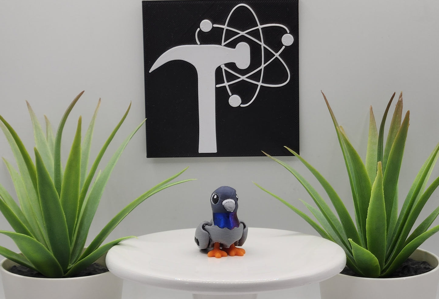 Pigeon Bird Fidget Animal