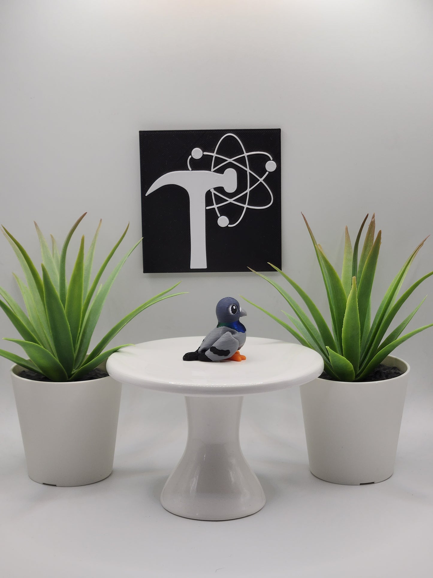 Pigeon Bird Fidget Animal