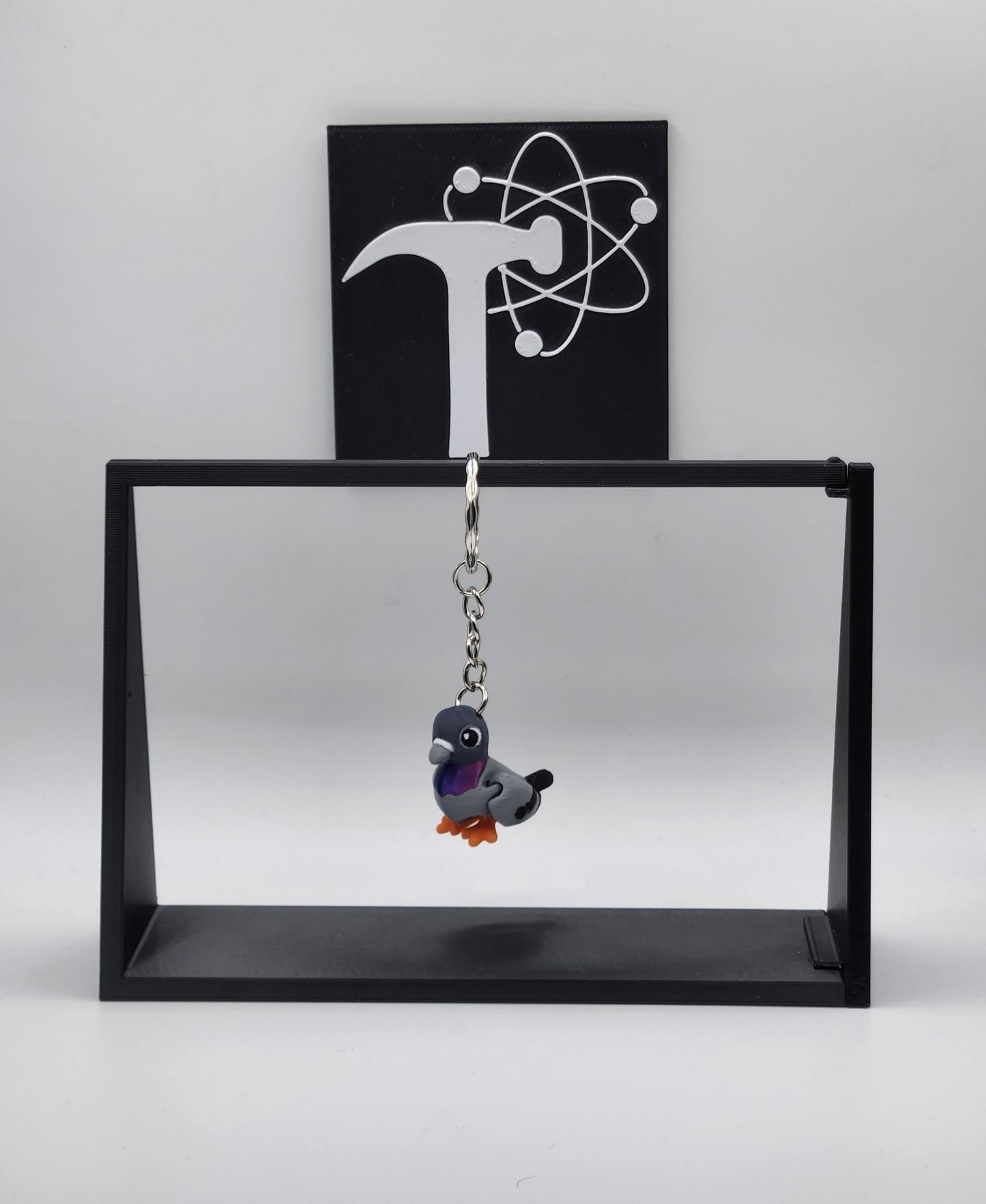 Pigeon Bird Fidget Animal