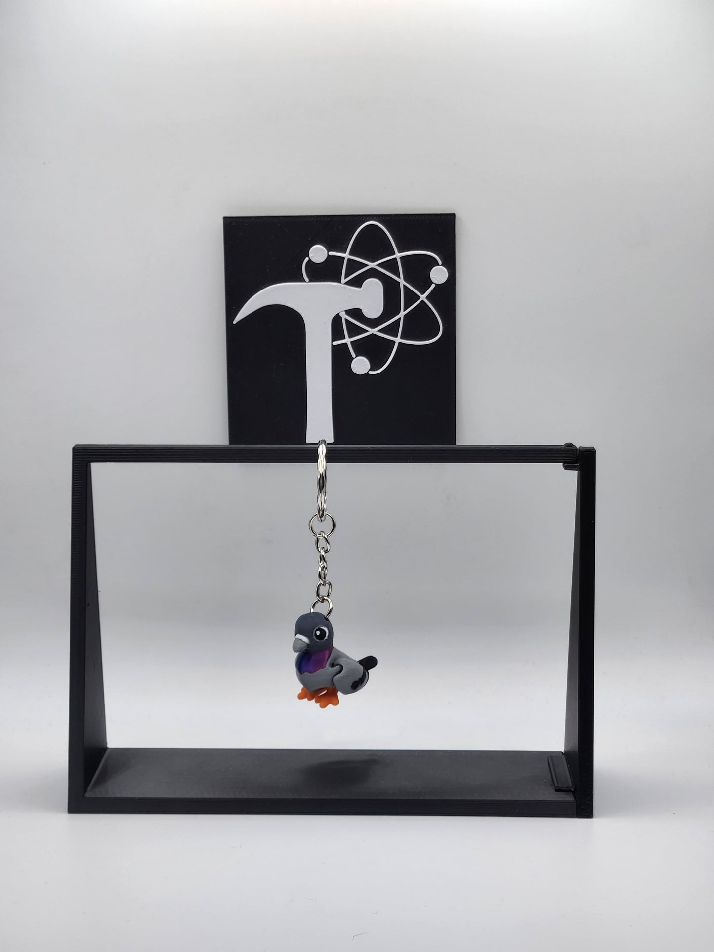Pigeon Bird Fidget Animal