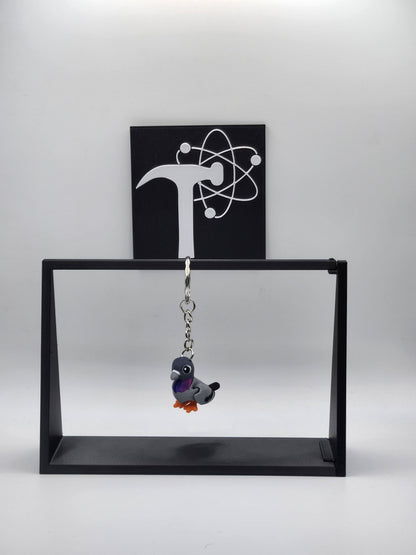Pigeon Bird Fidget Animal