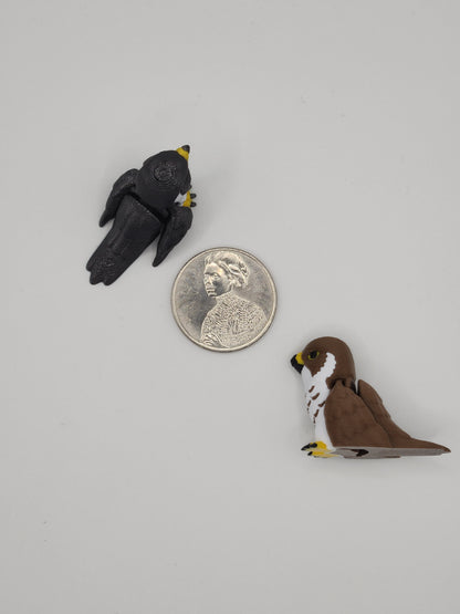 Falcon Bird Fidget Animal