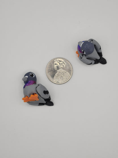 Pigeon Bird Fidget Animal