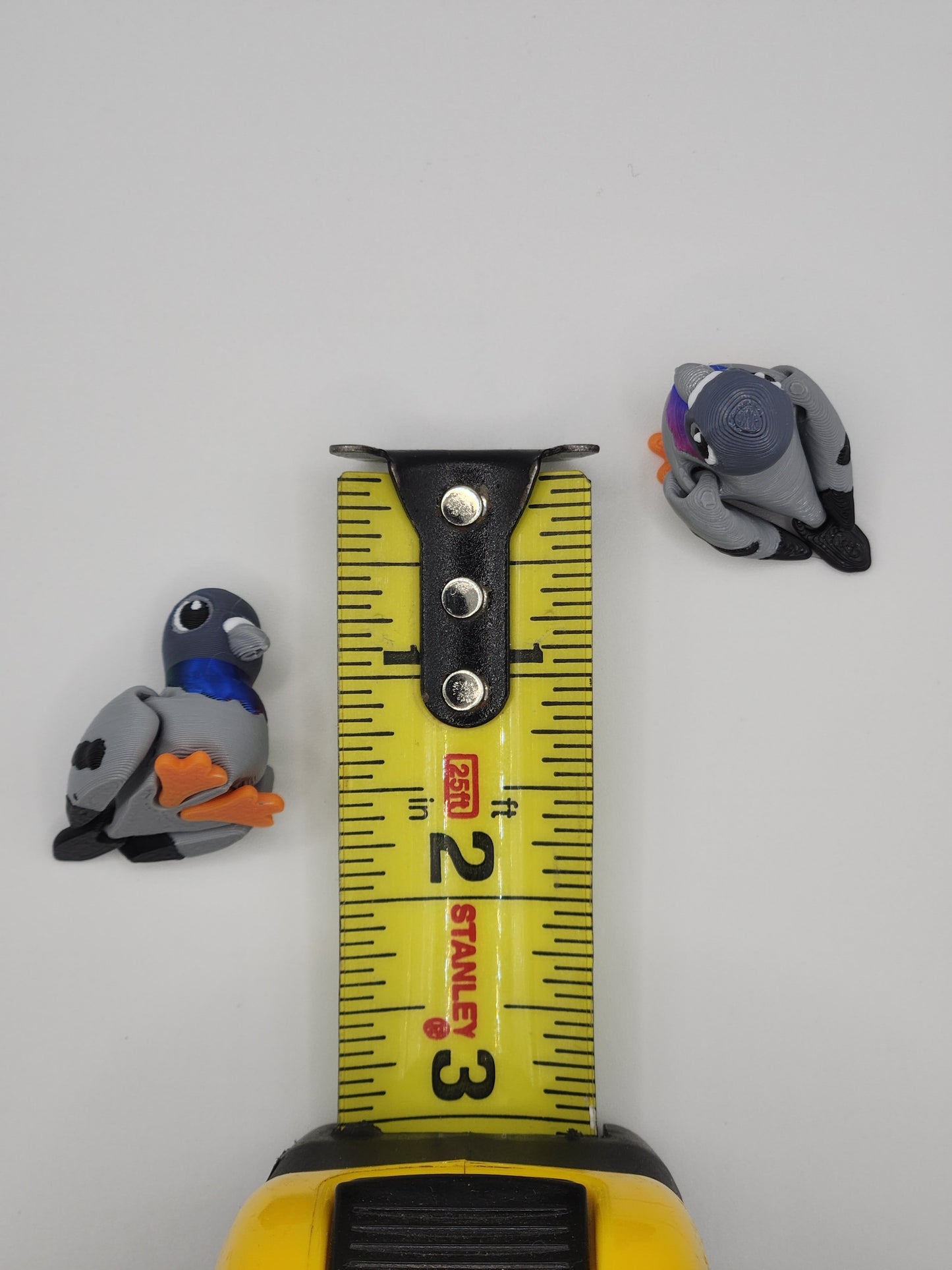 Pigeon Bird Fidget Animal