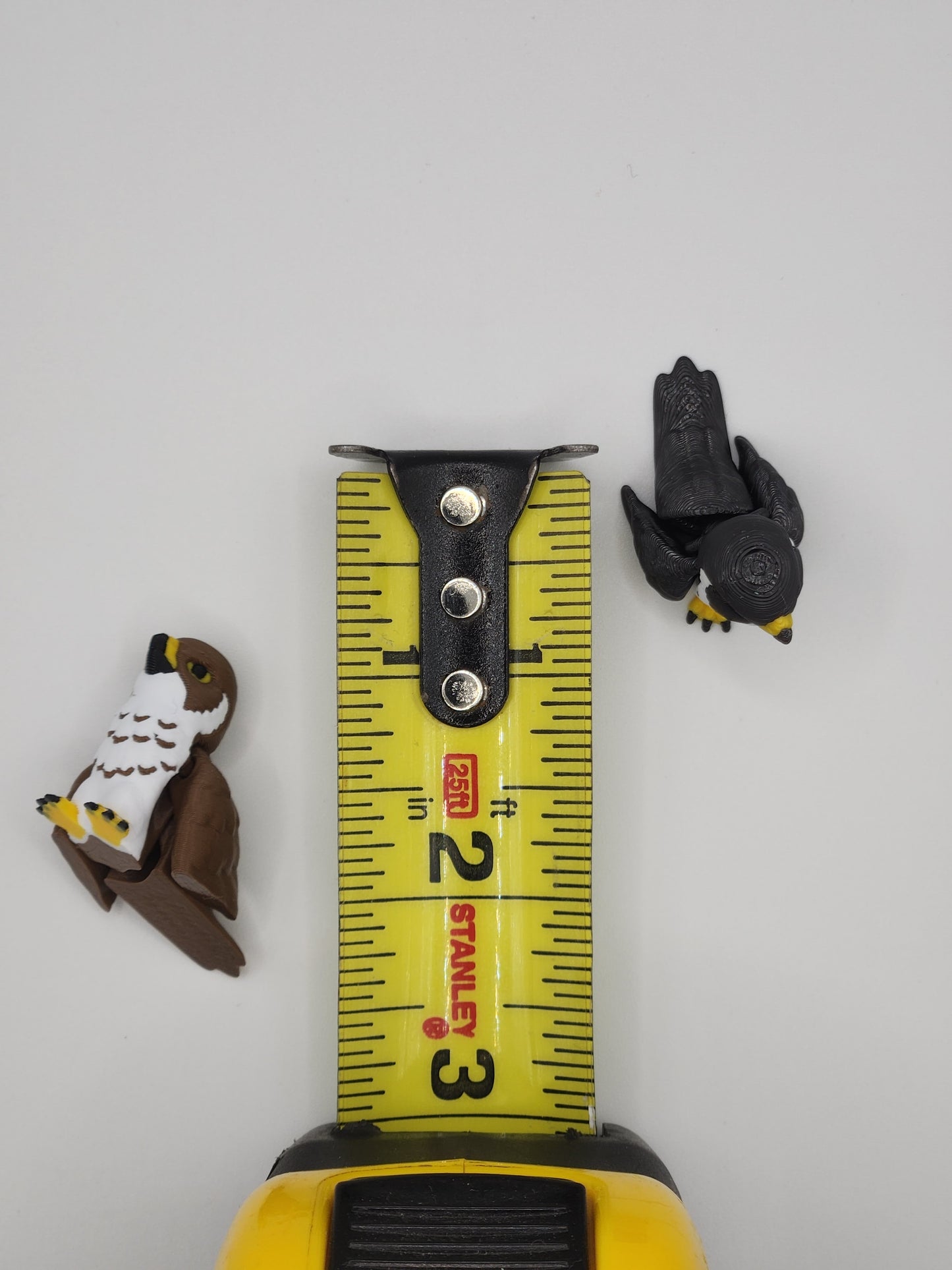 Falcon Bird Fidget Animal