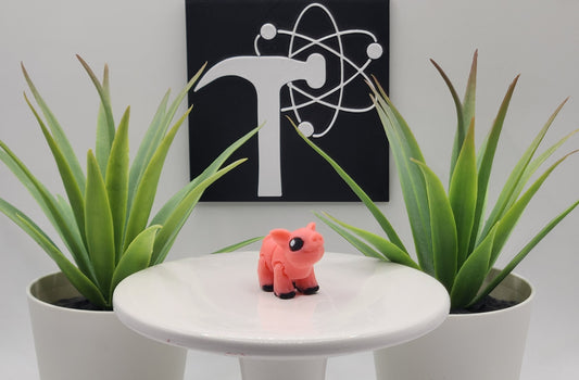 Pig Fidget Animal