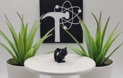 Pig Fidget Animal
