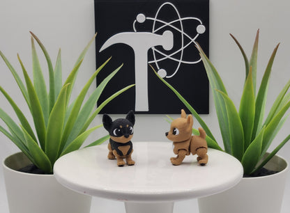 Chihuahua Dog Fidget Animal