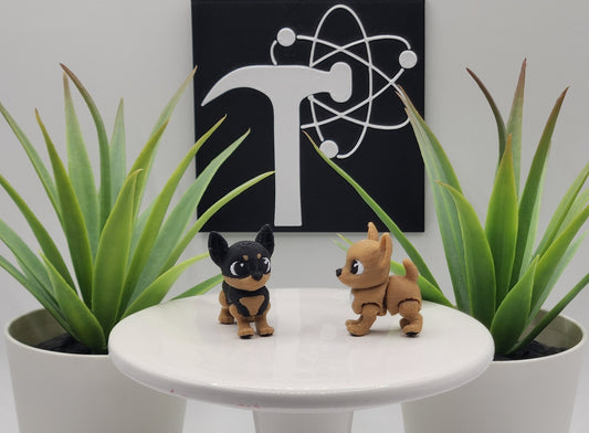 Chihuahua Dog Fidget Animal