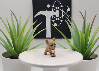 Chihuahua Dog Fidget Animal