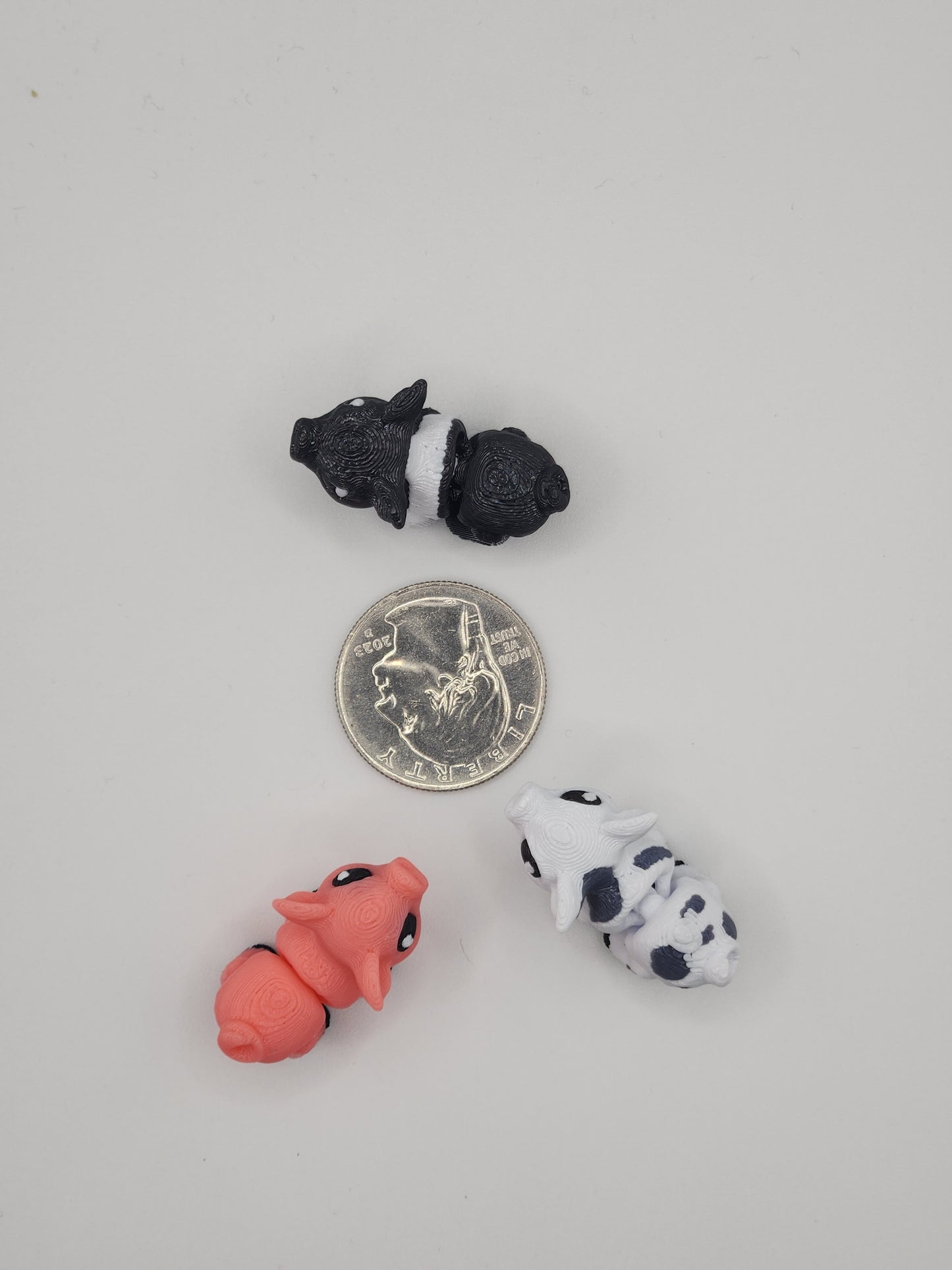 Pig Fidget Animal