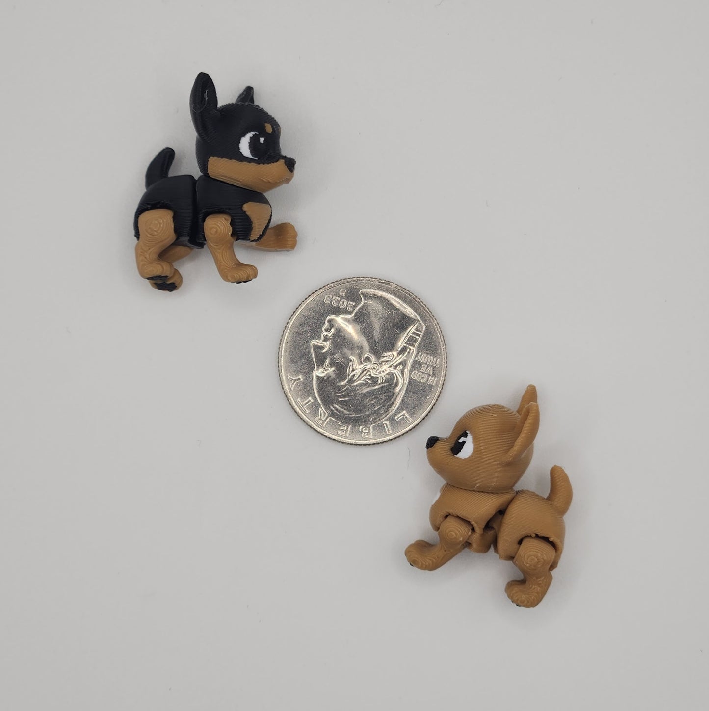 Chihuahua Dog Fidget Animal