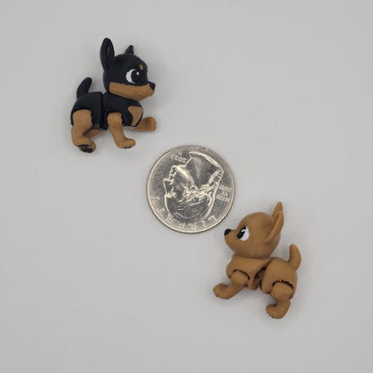 Chihuahua Dog Fidget Animal