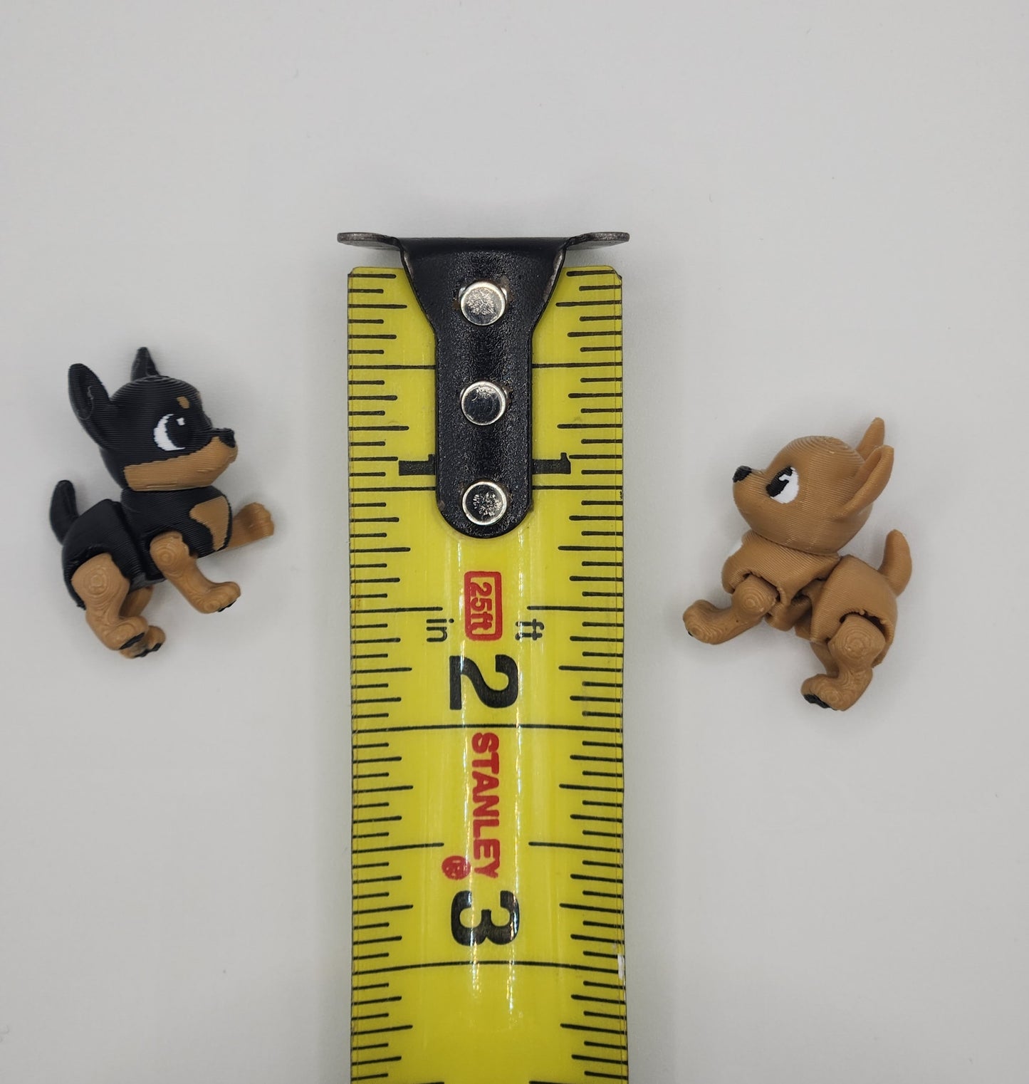 Chihuahua Dog Fidget Animal