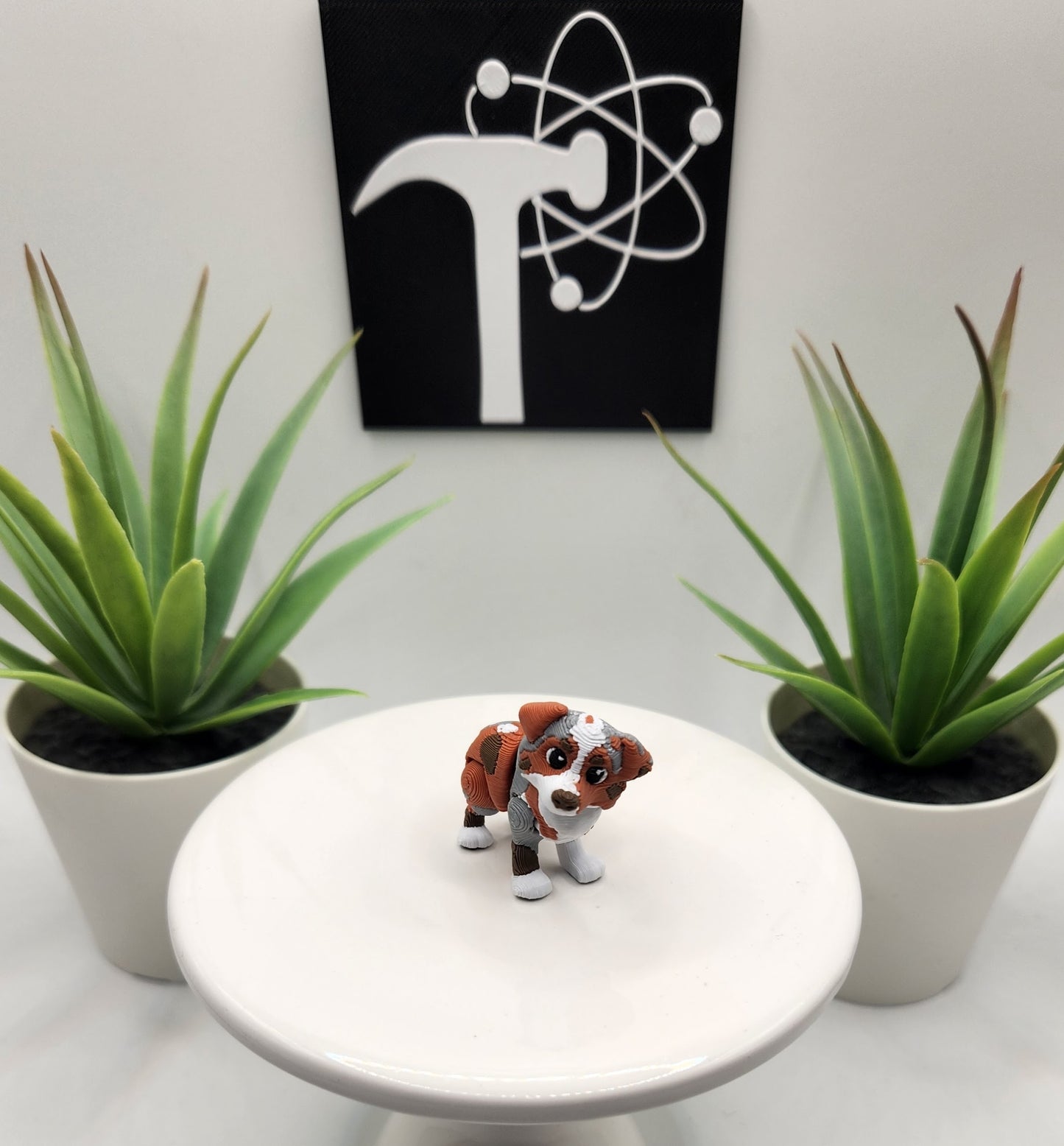 Australian Shepherd, Aussie, Dog Fidget Animal