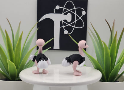 Ostrich Fidget Animal