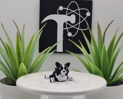 Border Collie Dog Fidget Animal
