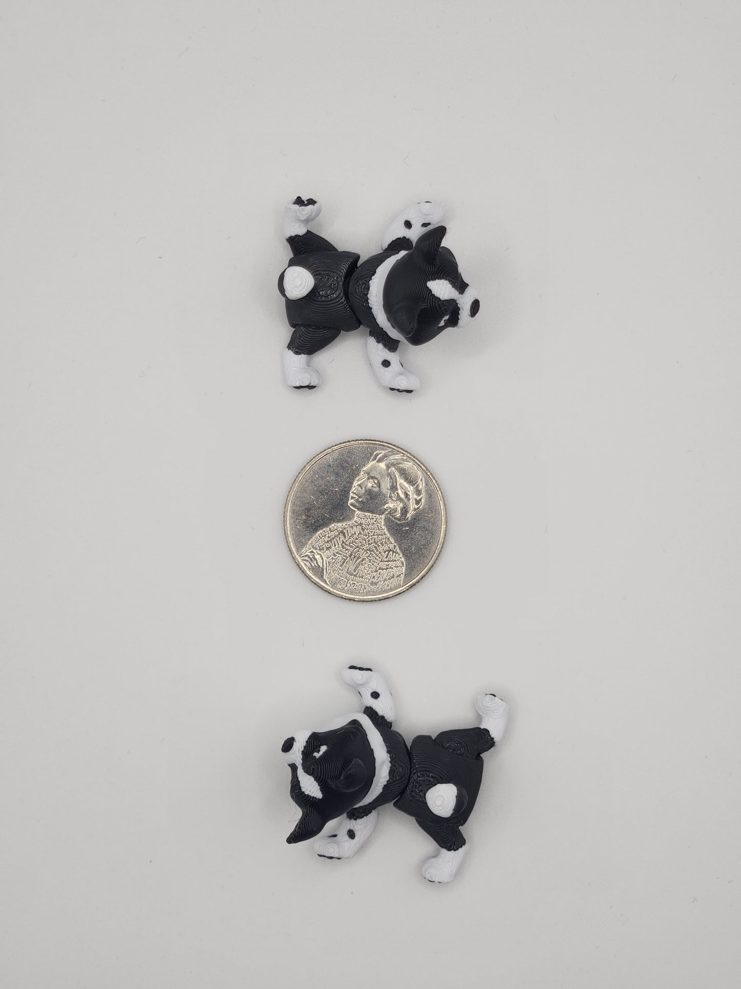 Border Collie Dog Fidget Animal