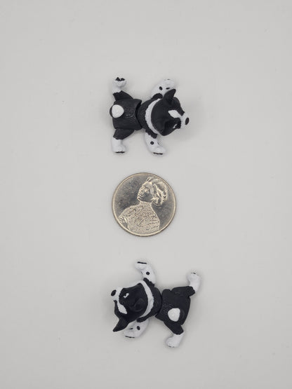Border Collie Dog Fidget Animal