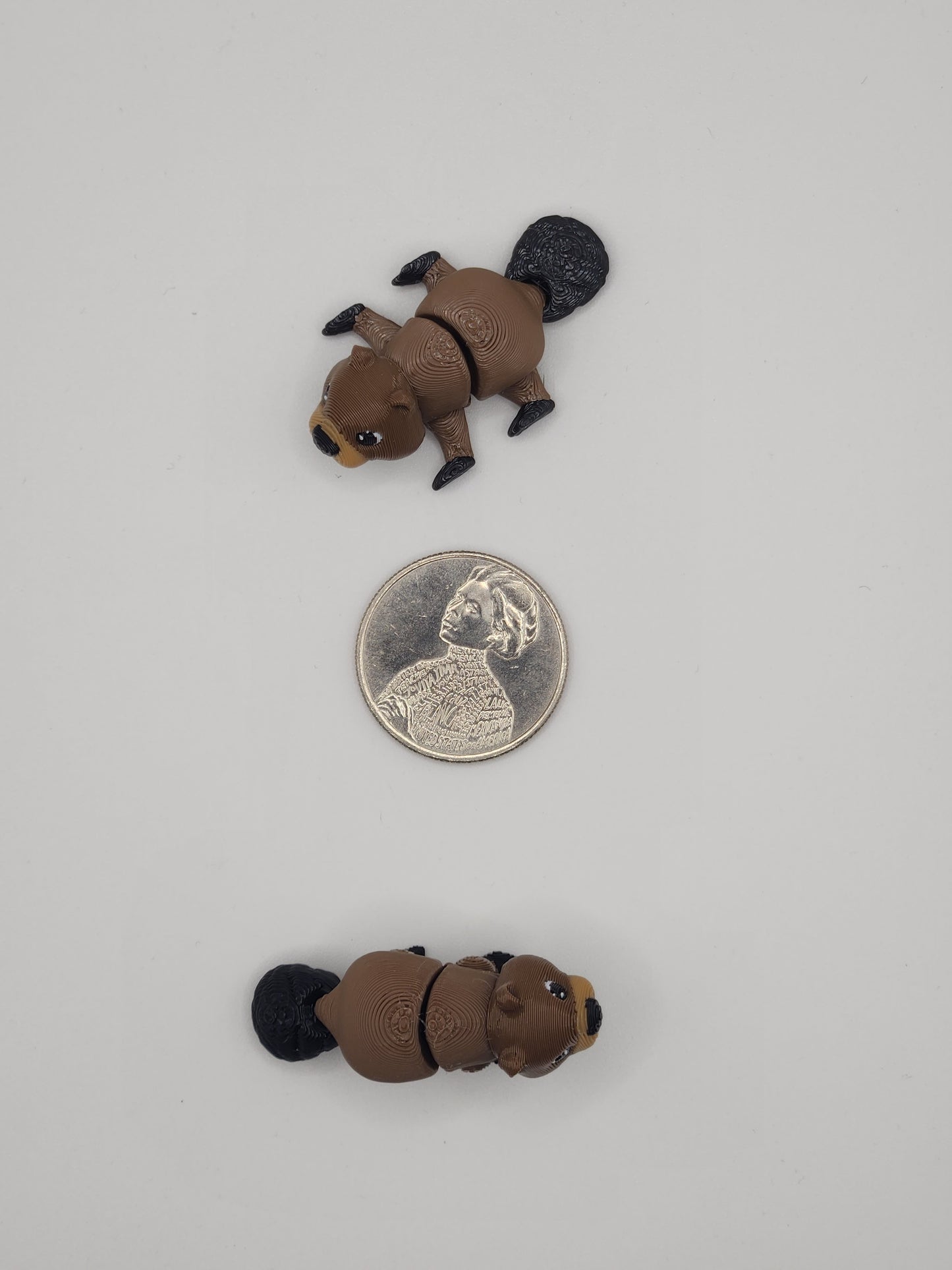 Beaver Fidget Animal