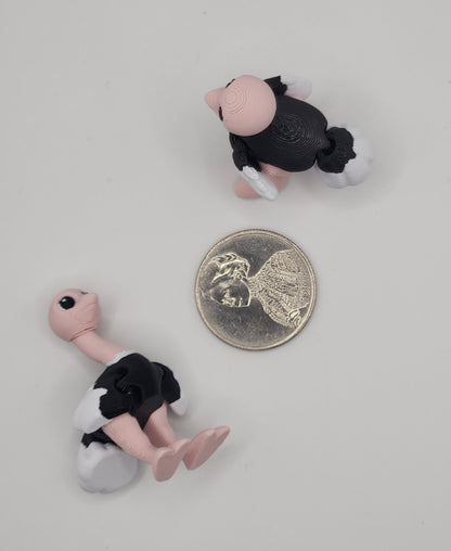 Ostrich Fidget Animal