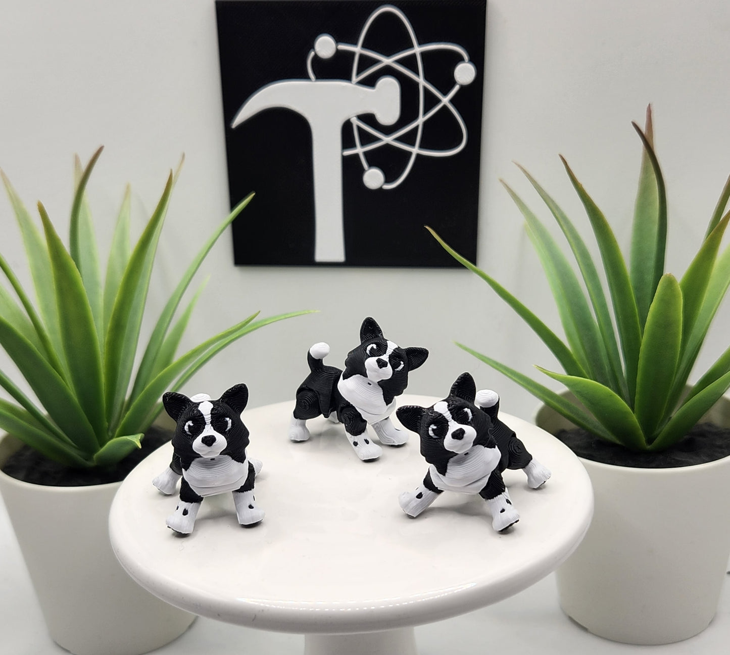 Border Collie Dog Fidget Animal