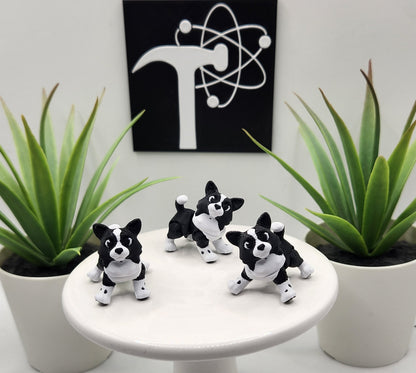 Border Collie Dog Fidget Animal