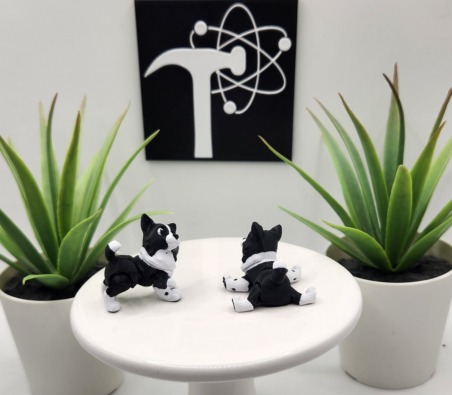 Border Collie Dog Fidget Animal