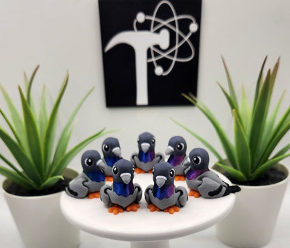 Pigeon Bird Fidget Animal