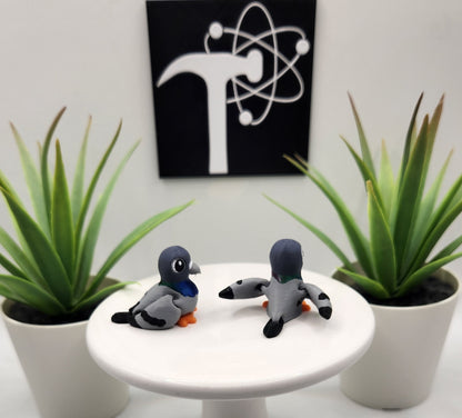 Pigeon Bird Fidget Animal