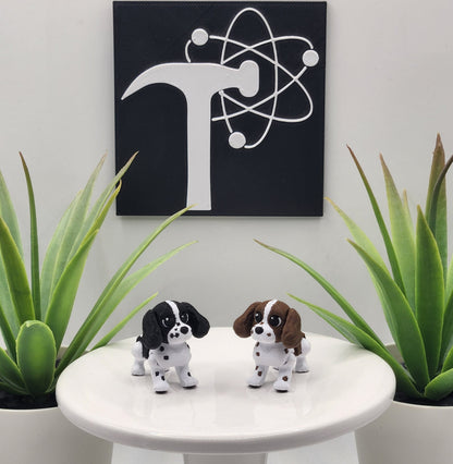 Springer Spaniel Dog Fidget Animal